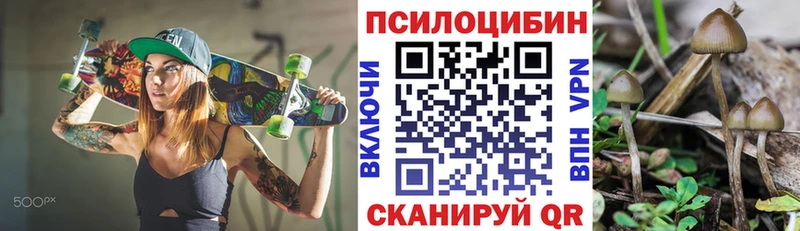 что такое   Анива  площадка состав  Галлюциногенные грибы Psilocybe 