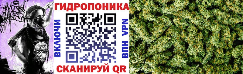 Бошки Шишки план  Анива 